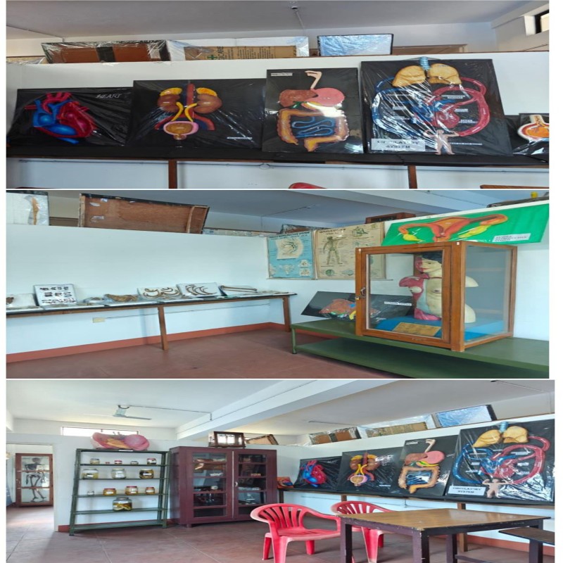 PRE-CLINICAL AND SKILL LAB